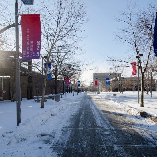 Snowy campus