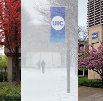 fall, winter and spring images on UIC campus
                  