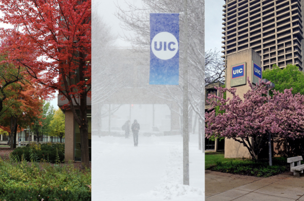 fall, winter and spring images on UIC campus