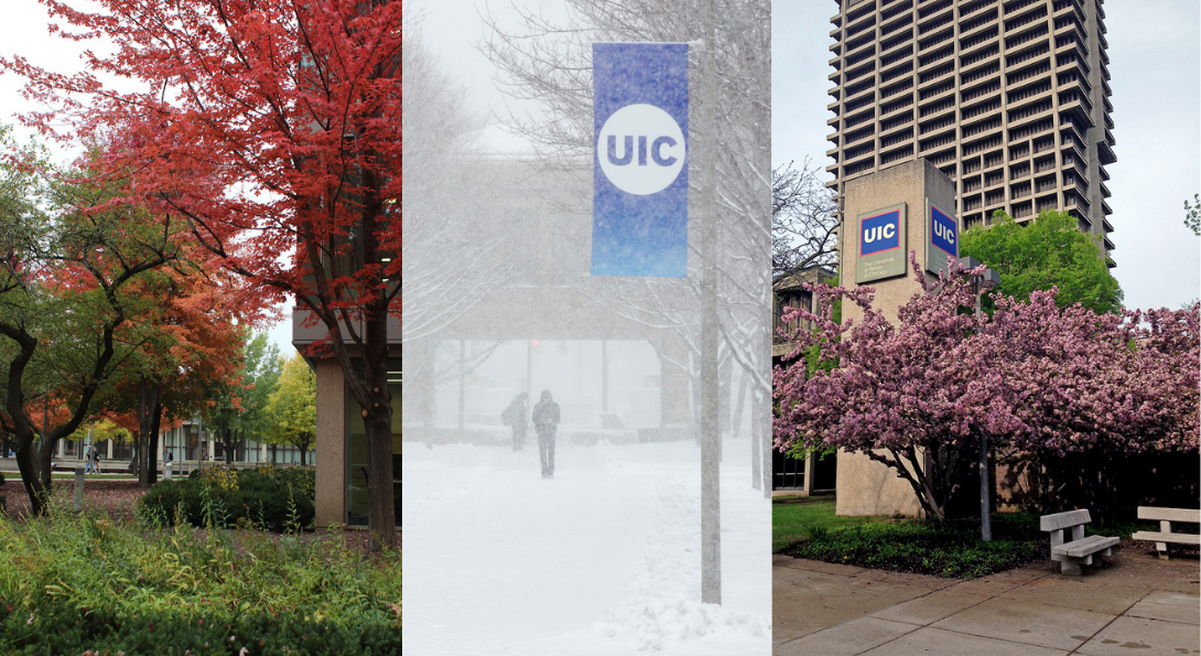Snowfall transforms UIC campus Tutorium English Language and
