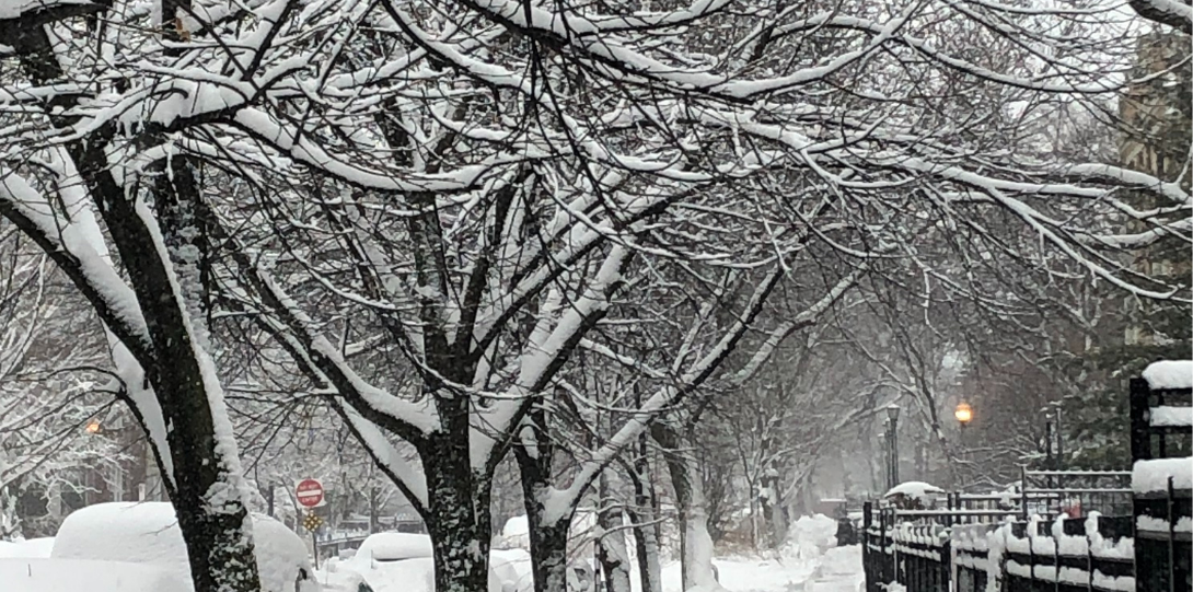 Snowfall covers everything in Chicago neighborhoods