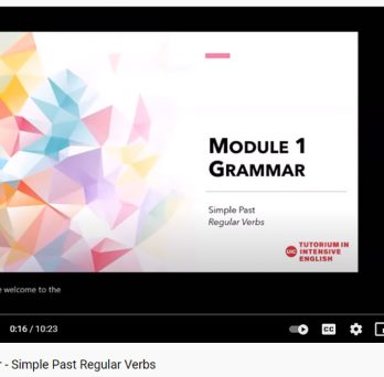 Opening screen of Module 1 grammar video
                  