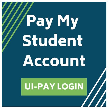 screen capture of UI-Pay login button