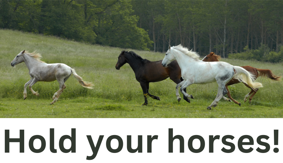 horses galloping across a field